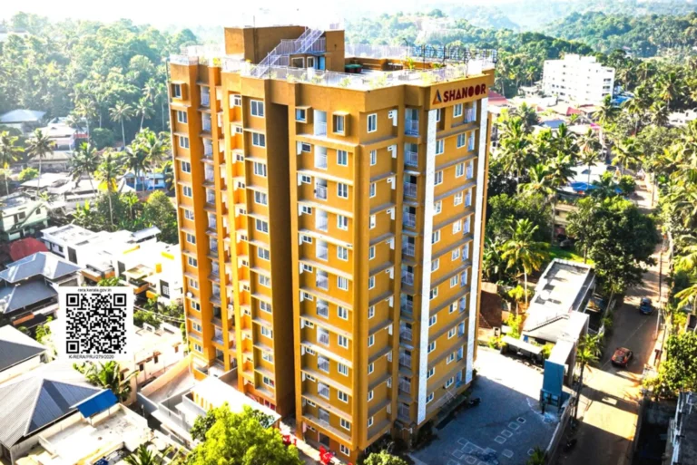 amar vista
