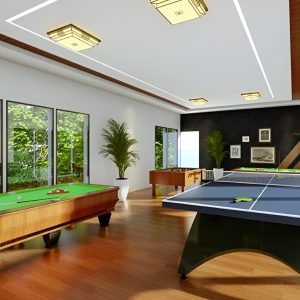 sky villa games room image